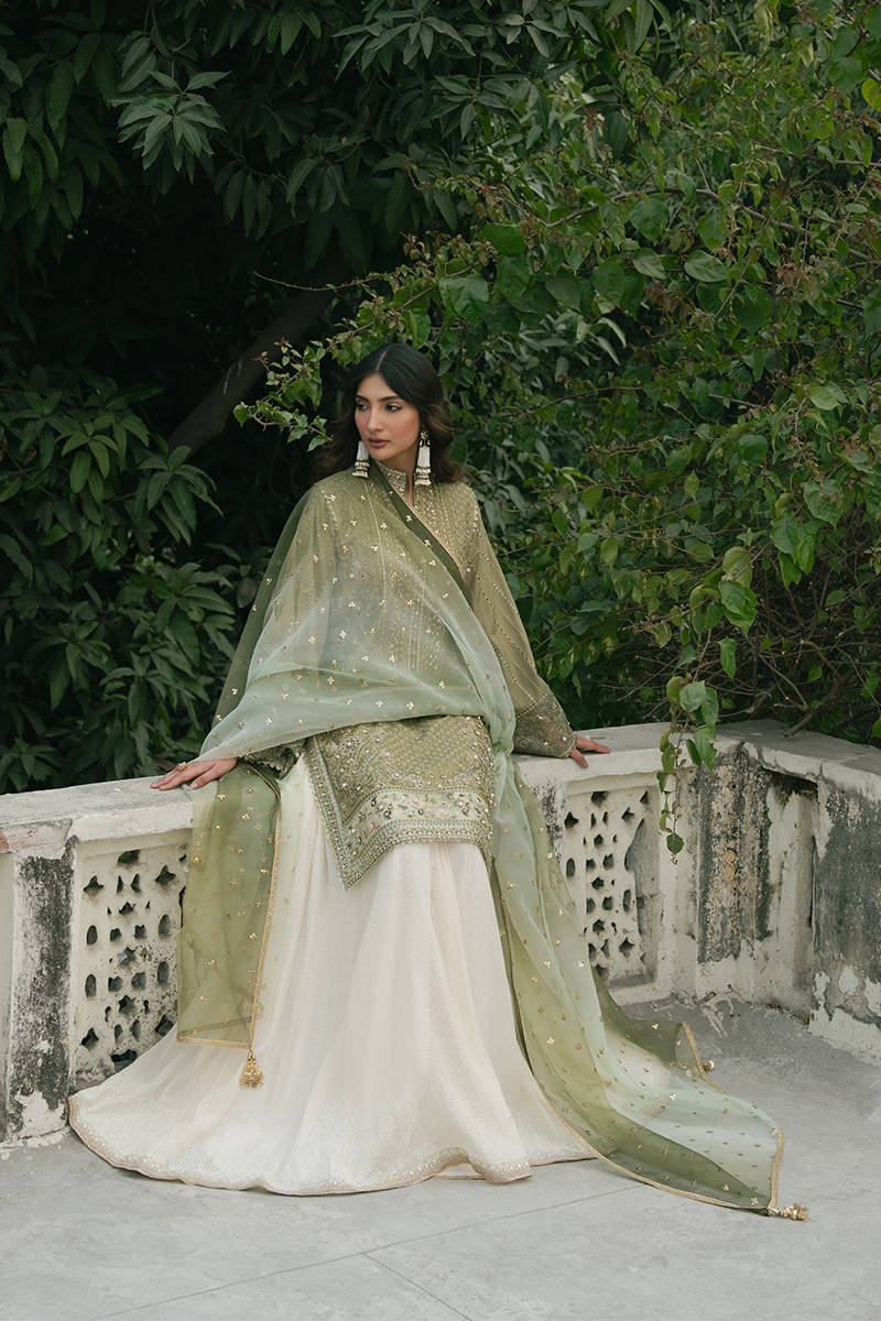 MNR | Ashiyana Festive Eid Collection 25 | Ayzal XL Olive Cotton Net