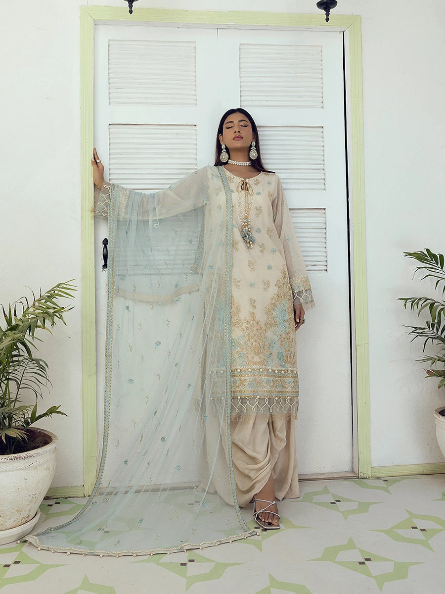 Salitex | Signature Festive Chiffon | SUNW6NO005UT M Off White Cotton Net