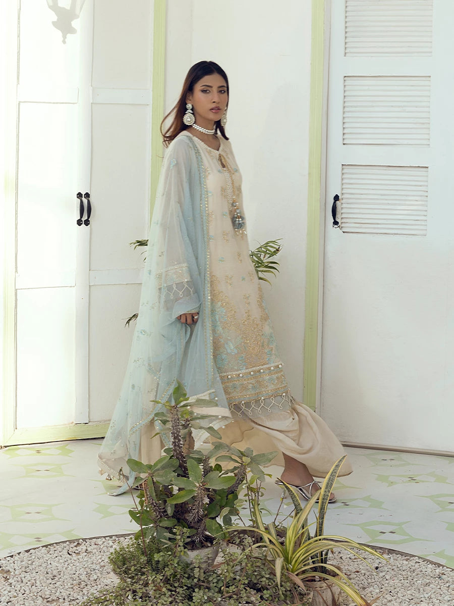 Salitex | Signature Festive Chiffon | SUNW6NO005UT L Off White Cotton Net