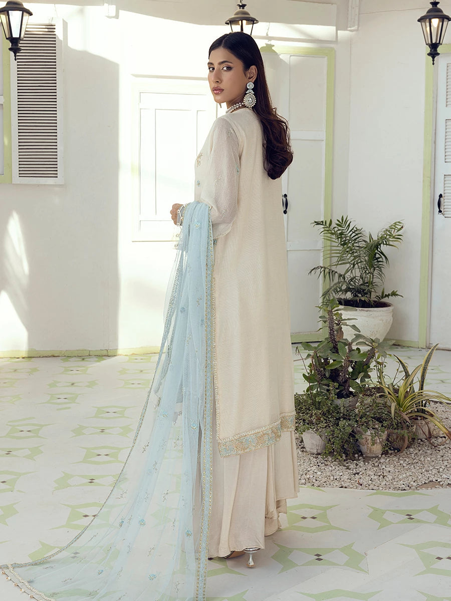 Salitex | Signature Festive Chiffon | SUNW6NO005UT S Off White Cotton Net