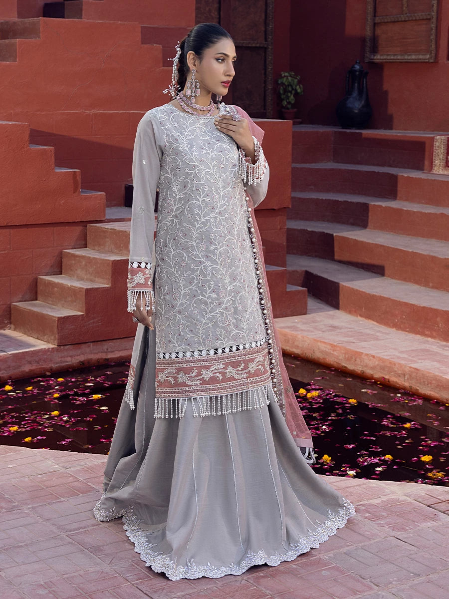Salitex | Signature Festive Chiffon | SUNW6JI014UT L Light Gray Zari