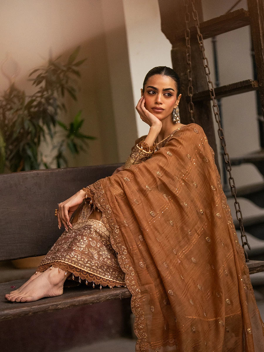 Salitex | Signature Festive Chiffon | SUNW6JI044UT Custom Size Brown Khaddi Net
