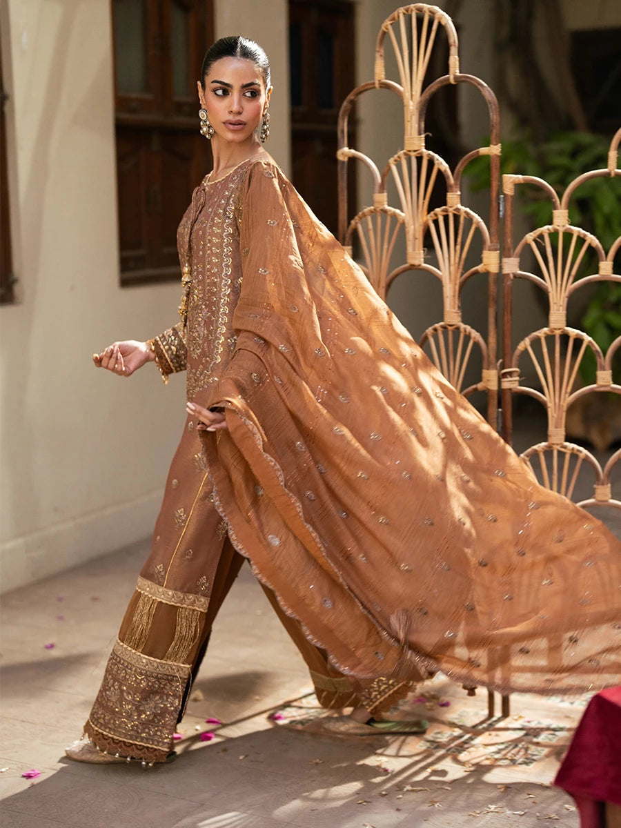 Salitex | Signature Festive Chiffon | SUNW6JI044UT XL Brown Khaddi Net
