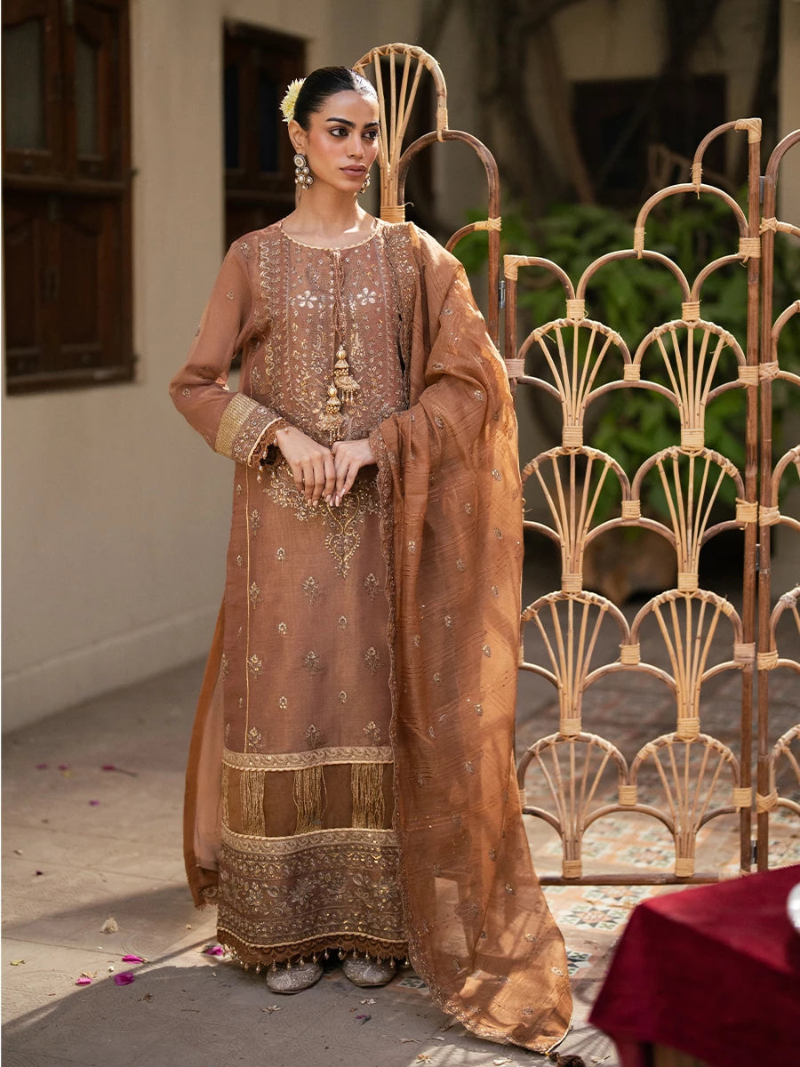 Salitex | Signature Festive Chiffon | SUNW6JI044UT XS Brown Khaddi Net