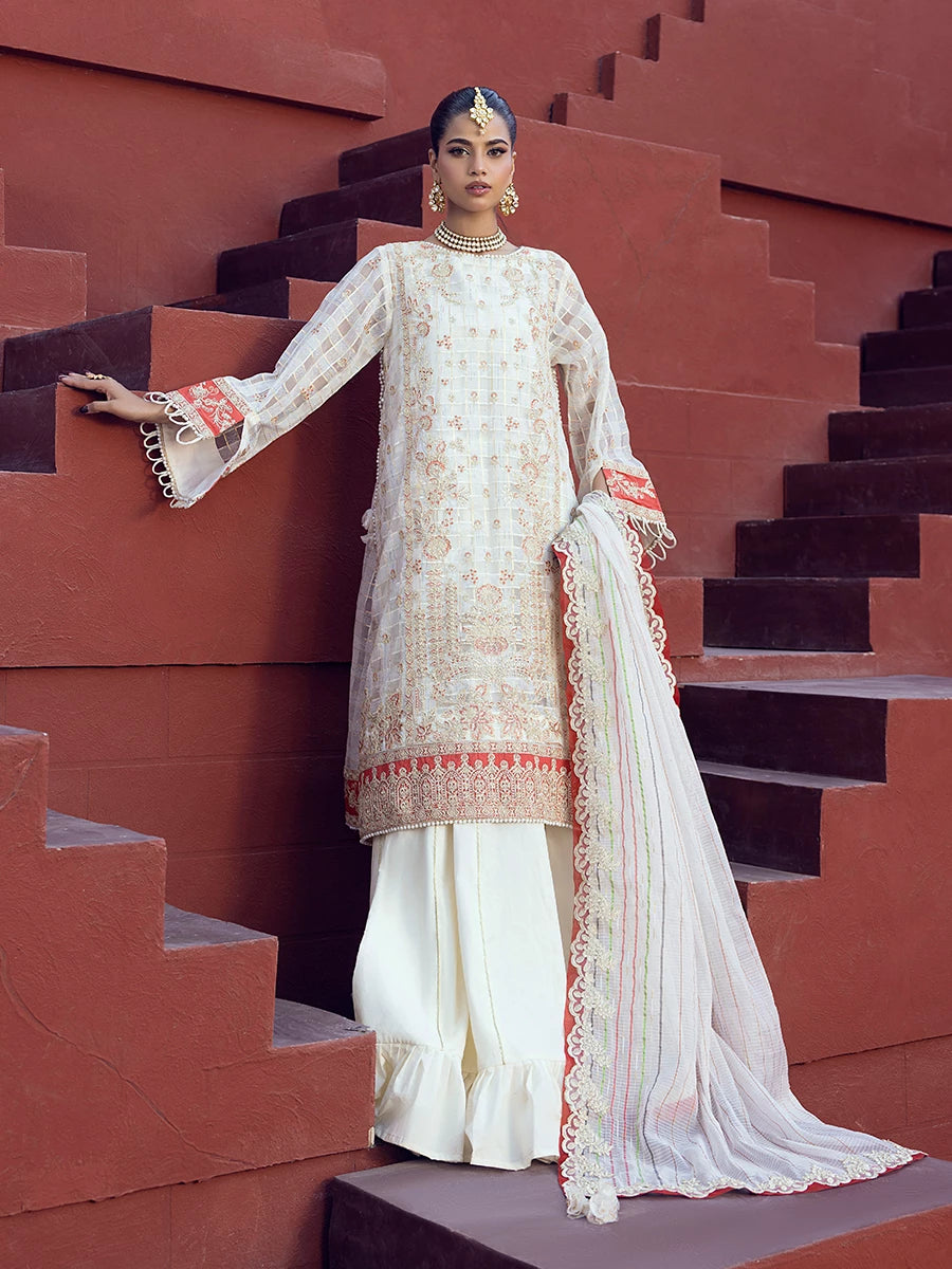 Salitex | Signature Festive Chiffon | SUNW6JI024UT XS Off White Zari