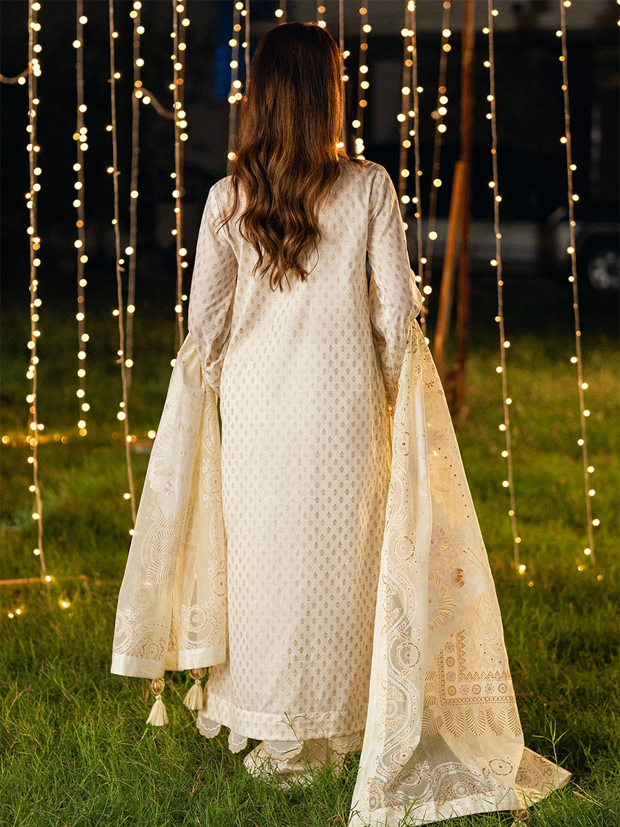 Salitex | Signature Festive Chiffon | UNS25WW007UT S Off White Cambric