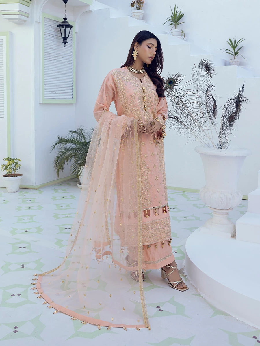 Salitex | Signature Festive Chiffon | SUNW6NO007UT M Peach Pink Cotton Net