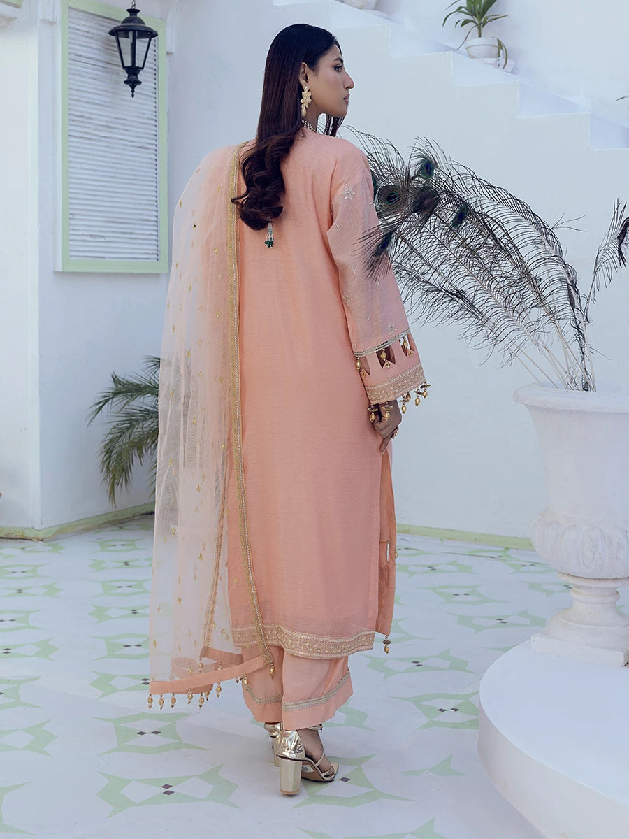 Salitex | Signature Festive Chiffon | SUNW6NO007UT S Peach Pink Cotton Net