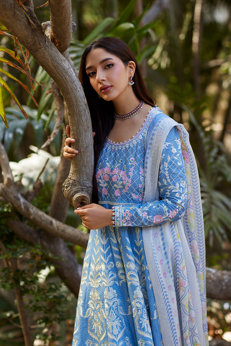 Mina Hassan | Chikankari Lawn 25 | Baano M Denium Blue Lawn