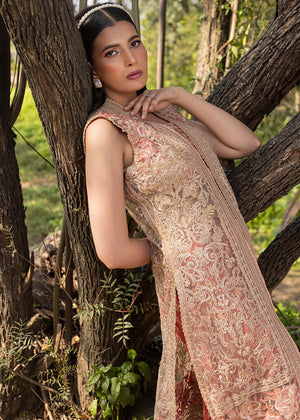 HSY | Summer Edit | Peach Terracotta - Pakistani Designer Dress - by HSY - Type : Ladies Clothes - 100% Original at Saira Sultan