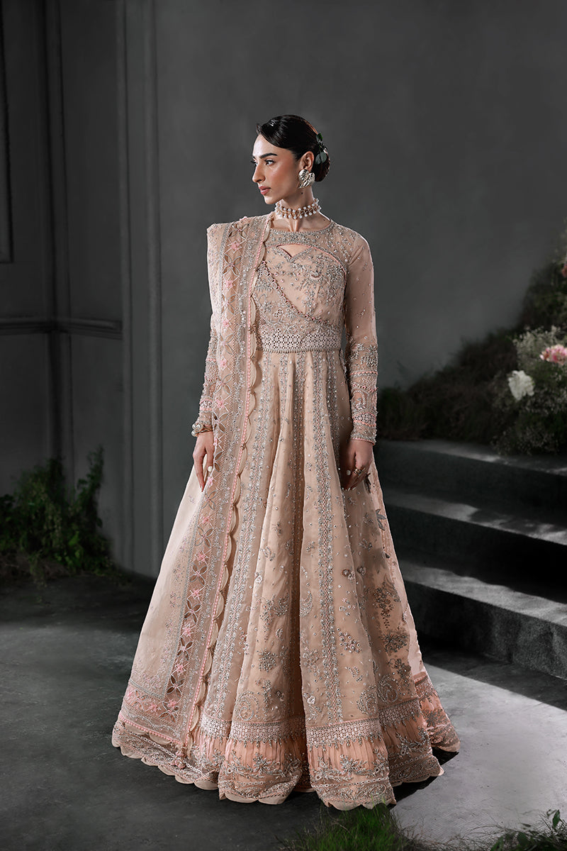 Qalamkar | Elirah Formals 25 | MF-01 LUSTRA - Pakistani Designer Dress - by Qalamkar - Type : Ladies Clothes - 100% Original at Saira Sultan