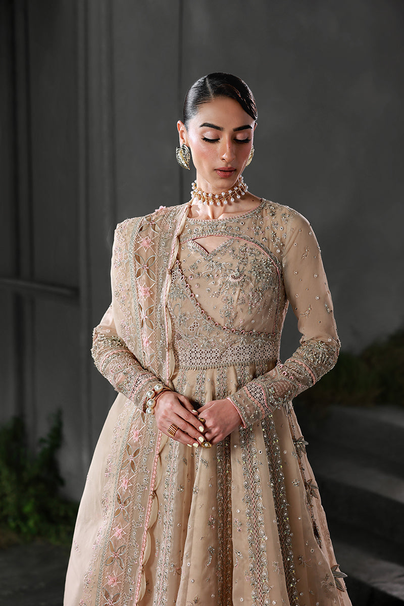 Qalamkar | Elirah Formals 25 | MF-01 LUSTRA - Pakistani Designer Dress - by Qalamkar - Type : Ladies Clothes - 100% Original at Saira Sultan