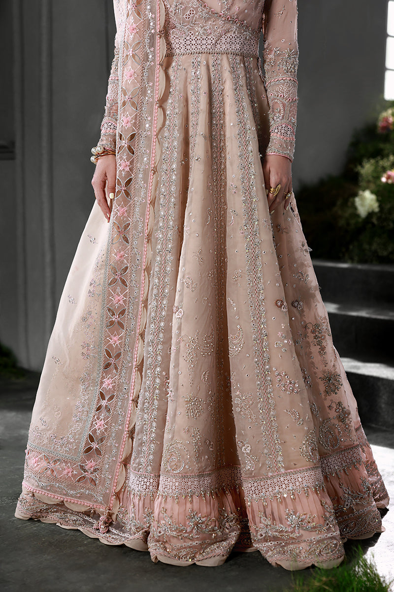 Qalamkar | Elirah Formals 25 | MF-01 LUSTRA - Pakistani Designer Dress - by Qalamkar - Type : Ladies Clothes - 100% Original at Saira Sultan