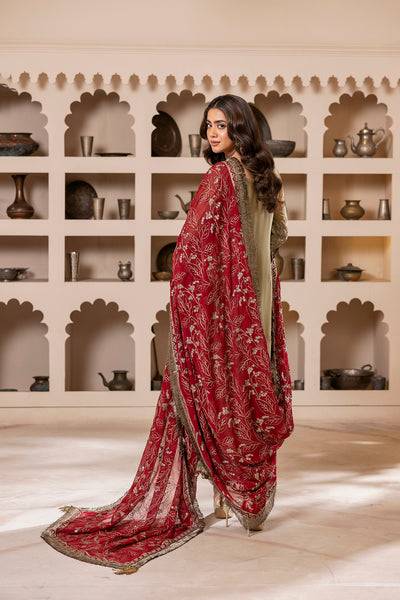 House of Nawab | Luxury Formals | ZEBA - Pakistani Designer Dress - by House of Nawab | Type: Formal - 100% Original at Saira Sultan