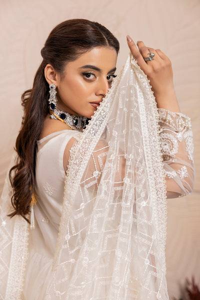House of Nawab | Luxury Formals | TAROOB - Pakistani Designer Dress - by House of Nawab | Type: Formal - 100% Original at Saira Sultan