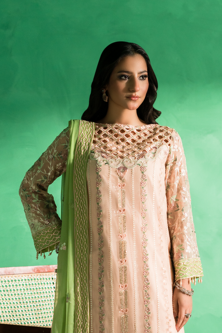 Zebtan | Farmaish Formals | FC-08 M Pale Peach Chiffon