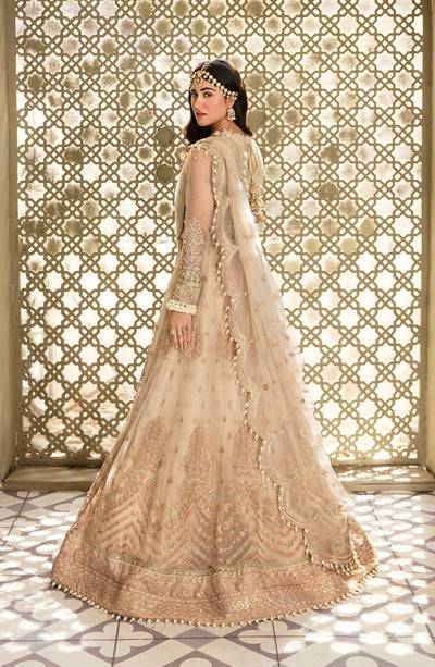 Eleshia | Zarin Collection | KANEEL - Pakistani Designer Dress - by Eleshia | Type: Luxury - 100% Original at Saira Sultan
