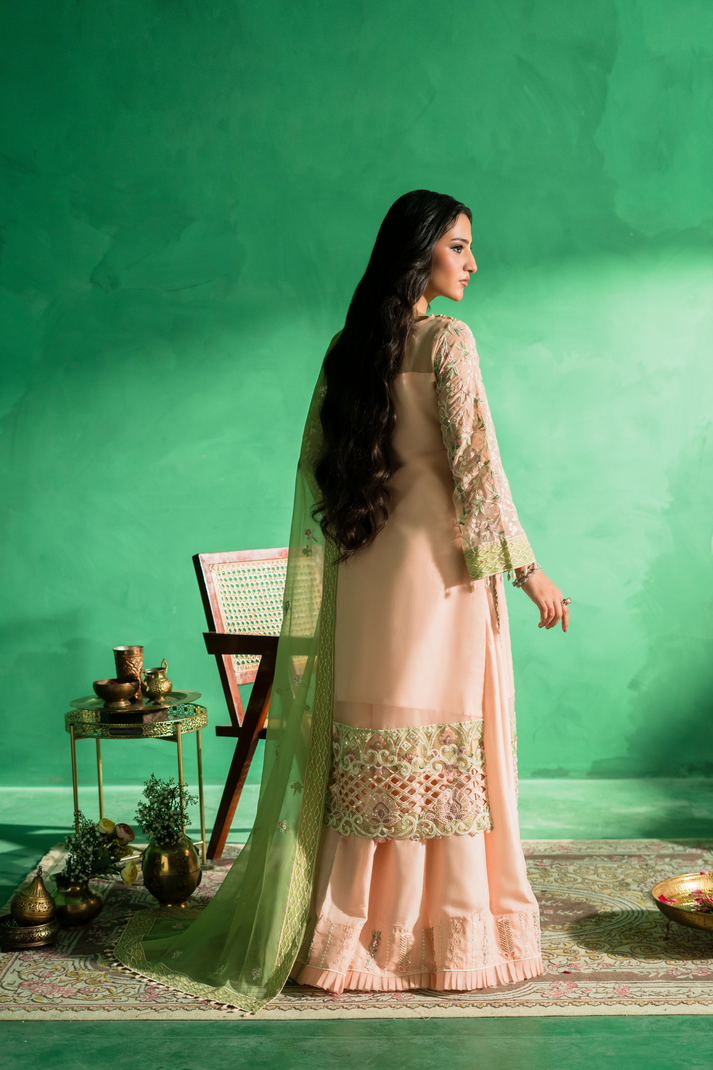Zebtan | Farmaish Formals | FC-08 S Pale Peach Chiffon