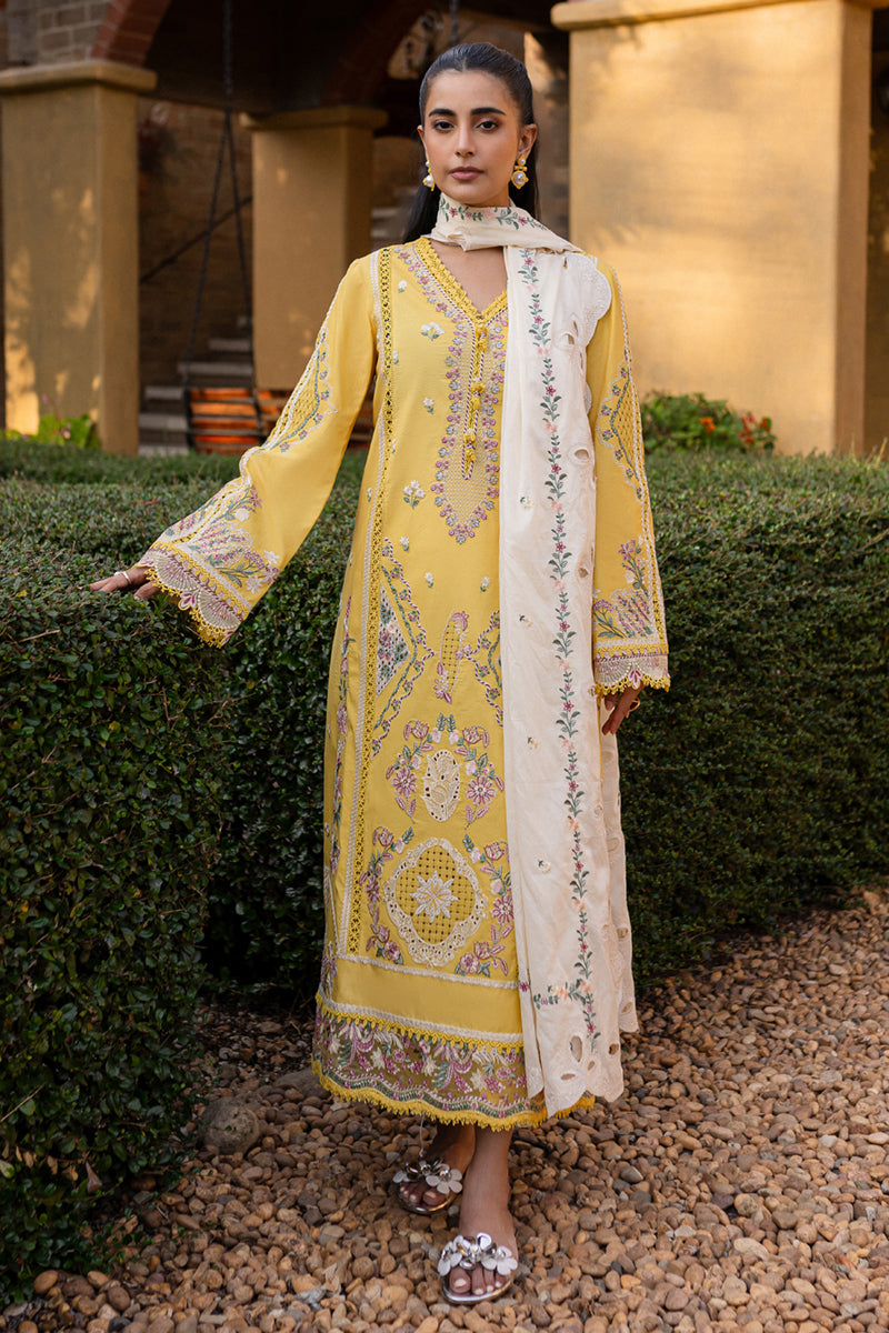 Qalamkar | Q Line Lawn 25 | QM-10 Olena S Yellow Lawn