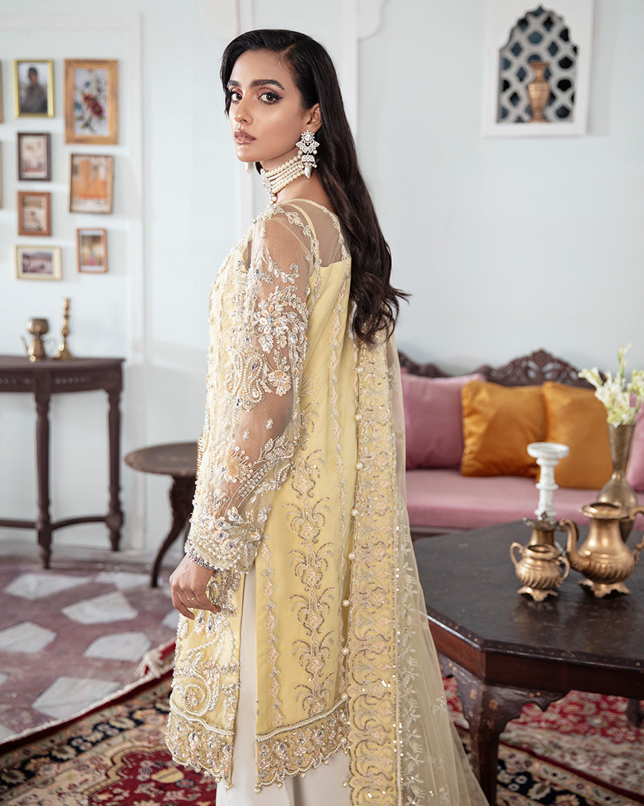 Gulaal | Wedding Formals | MAHJABEEN EMBROIDERED NET 3-PIECE SUIT WS-17 - Pakistani Designer Dress - by Gulaal | Type: Bridal - 100% Original at Saira Sultan