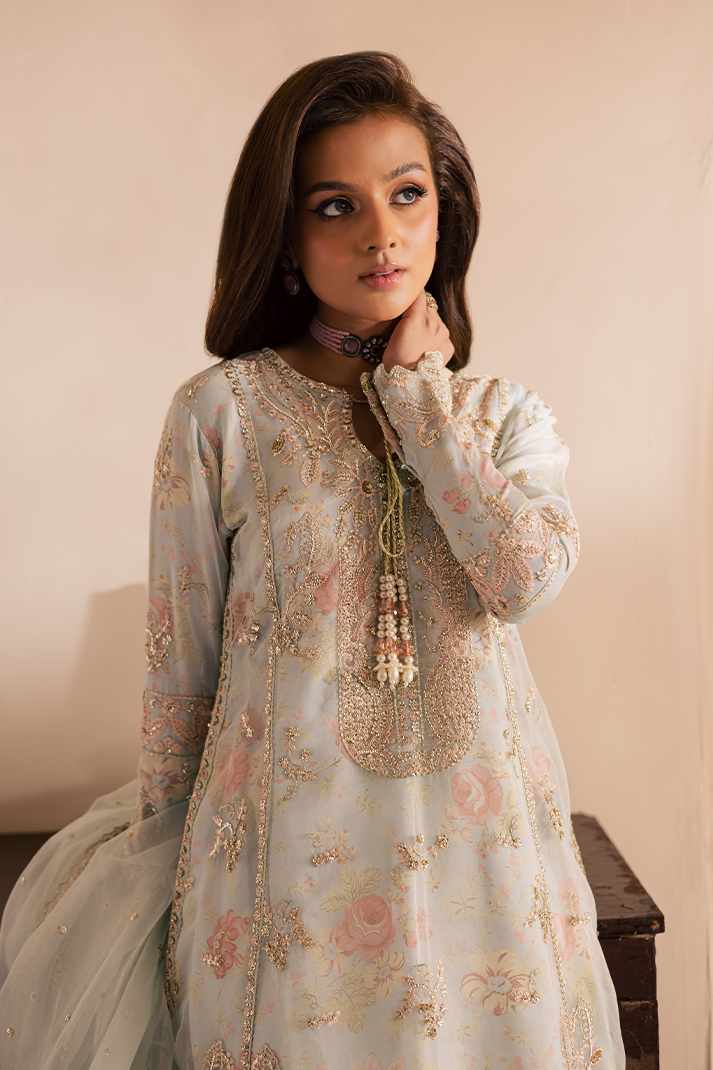 Emaan Adeel |Celine Pret |Arghawani - Pakistani Designer Dress - by Emaan Adeel - Type : Ladies Clothes - 100% Original at Saira Sultan