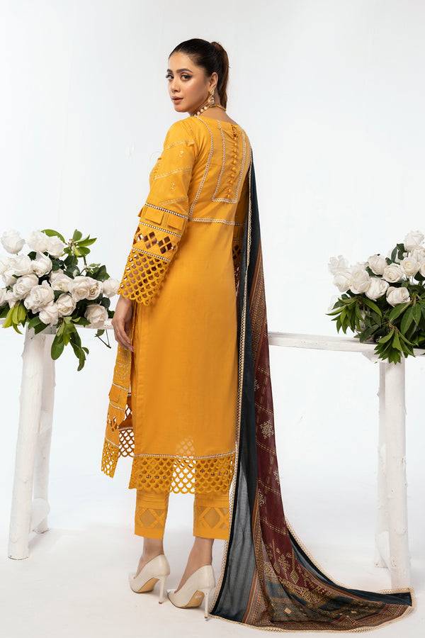 House of Nawab | Lawn Collection 24 | AEMA - Pakistani Designer Dress - by House of Nawab | Type: Luxury - 100% Original at Saira Sultan