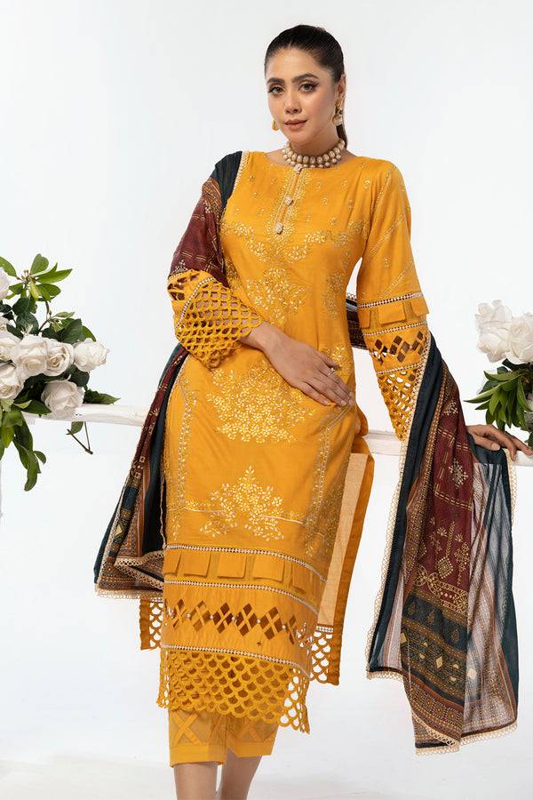 House of Nawab | Lawn Collection 24 | AEMA - Pakistani Designer Dress - by House of Nawab | Type: Luxury - 100% Original at Saira Sultan