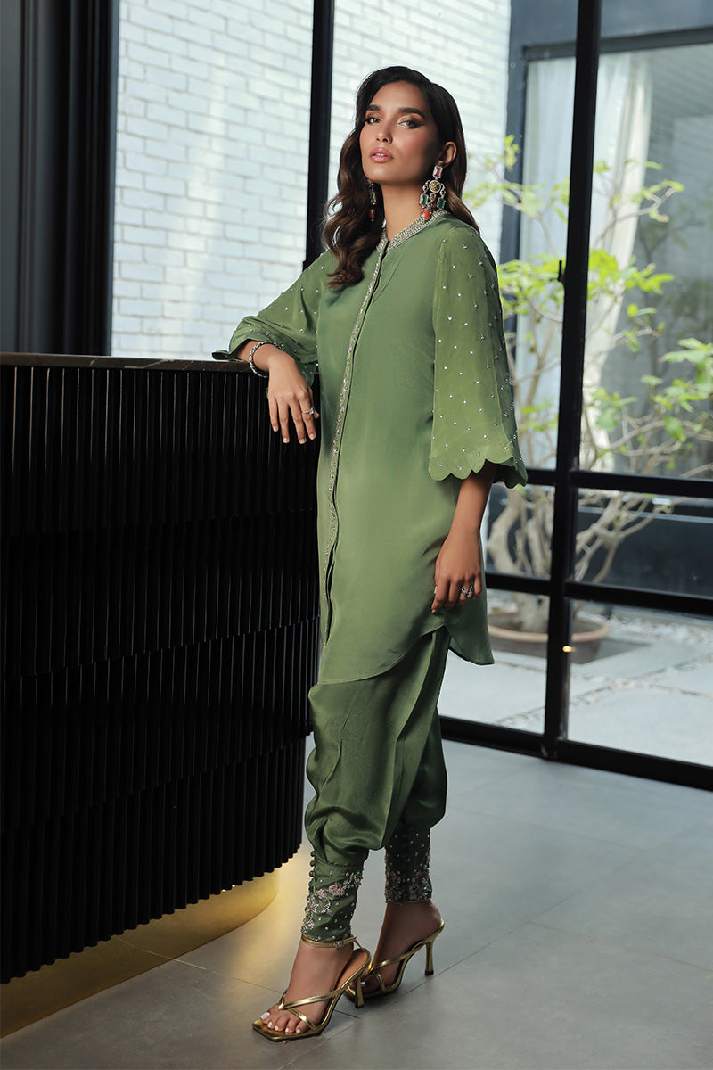 Wardha Saleem | Luxury Pret Traditional Wear | RAYA (2PC) XL Pistachio Green Crepe Silk