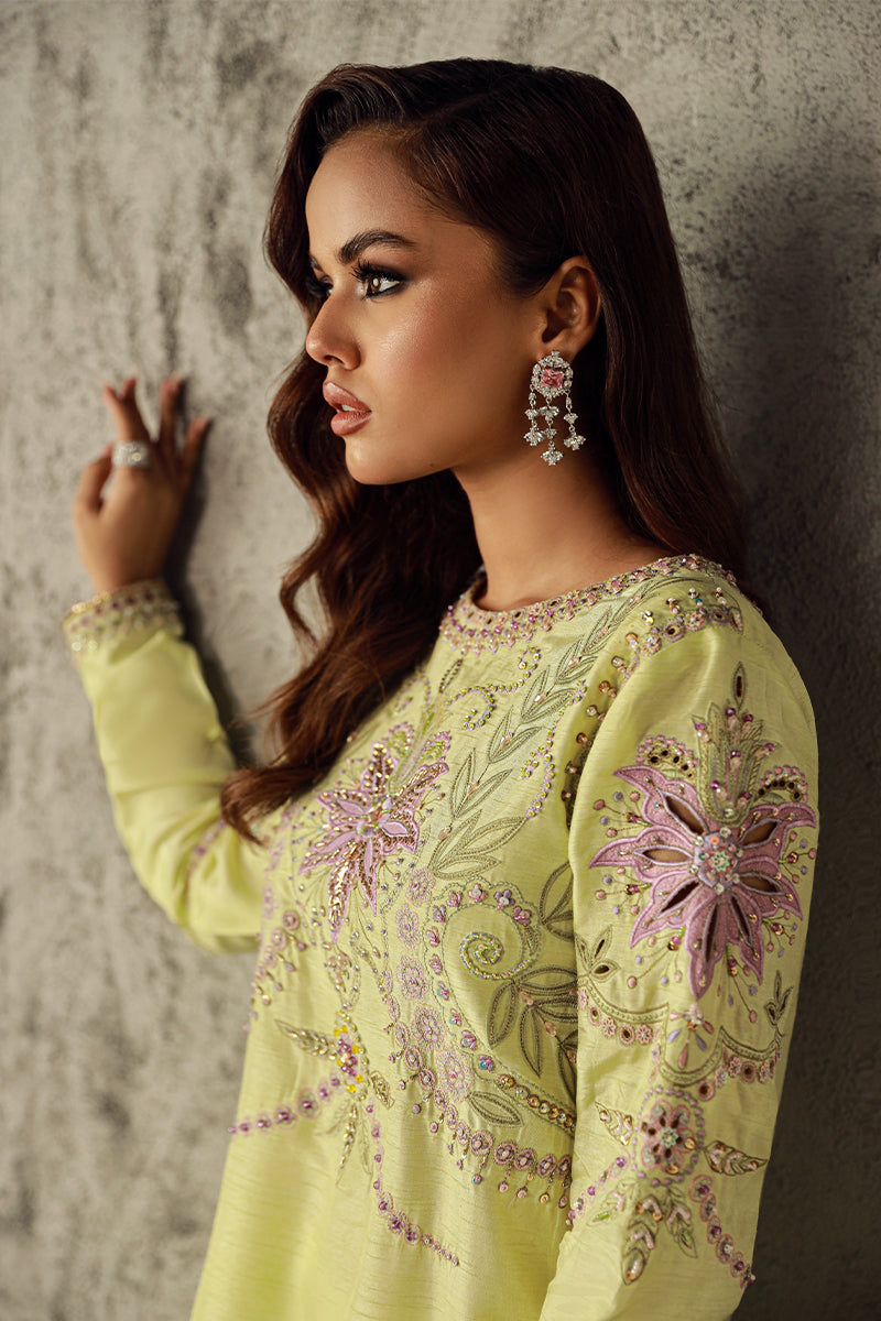 Wardha Saleem | Luxury Pret Traditional Wear | NAWAL XL Pistachio Green Korean Raw Silk