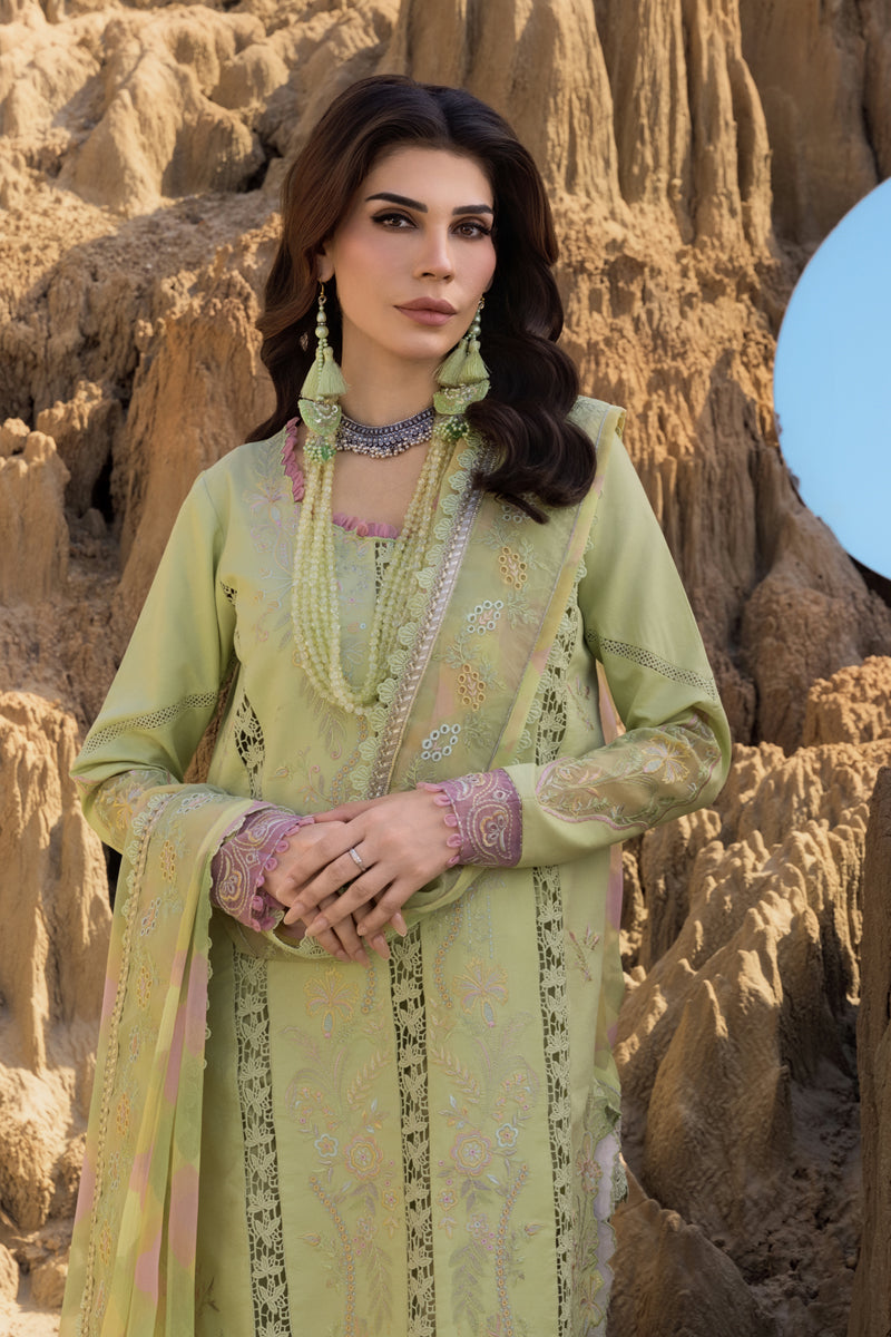 Rangrasiya | Premium Eid Edit 25 | Rania M Mint Green Lawn