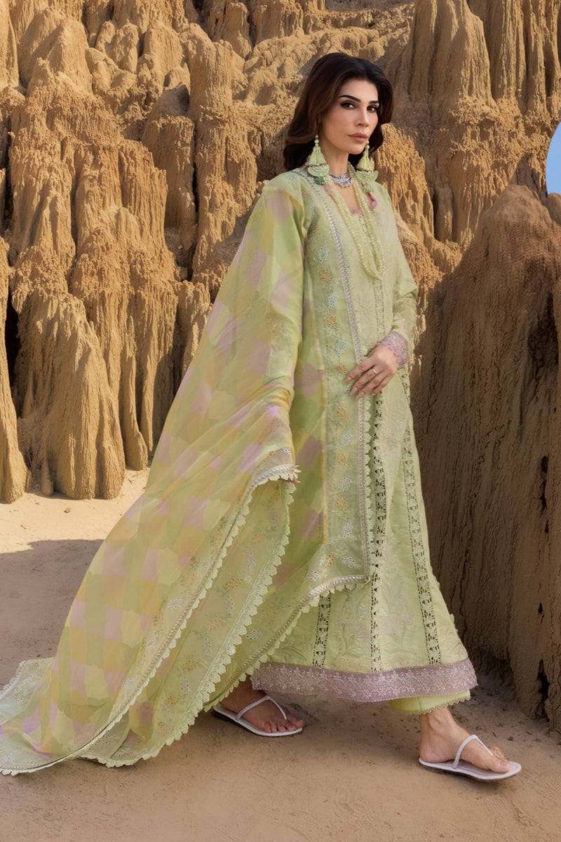 Rangrasiya | Premium Eid Edit 25 | Rania XL Mint Green Lawn