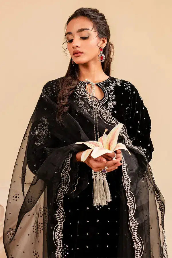 Nureh | Shades of Winter | Sheesh - Pakistani Designer Dress - by Nureh | Type: Luxury - 100% Original at Saira Sultan