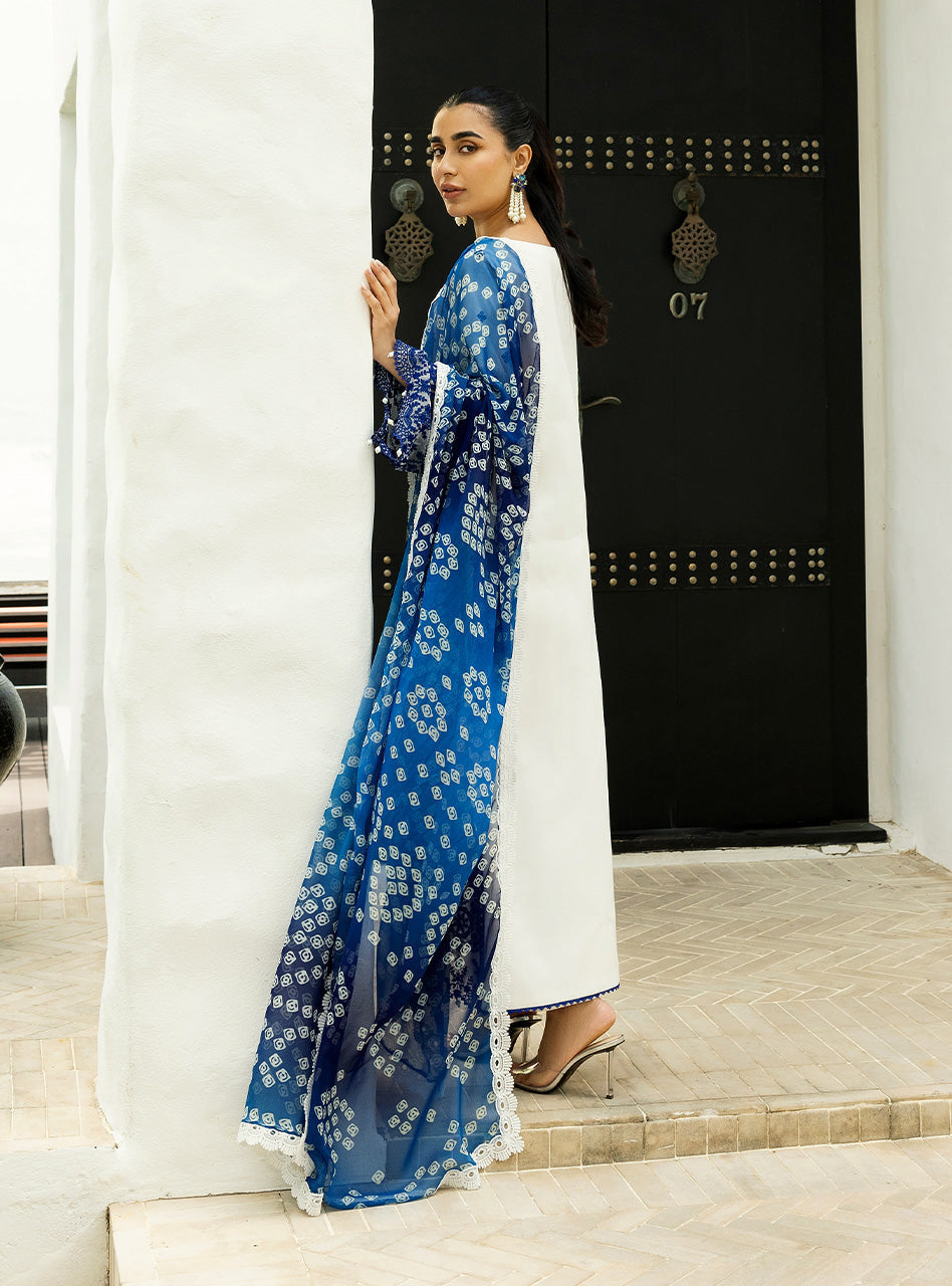 Zainab Chottani | Chikankari 25 | Reem - 8A S White Chikankari