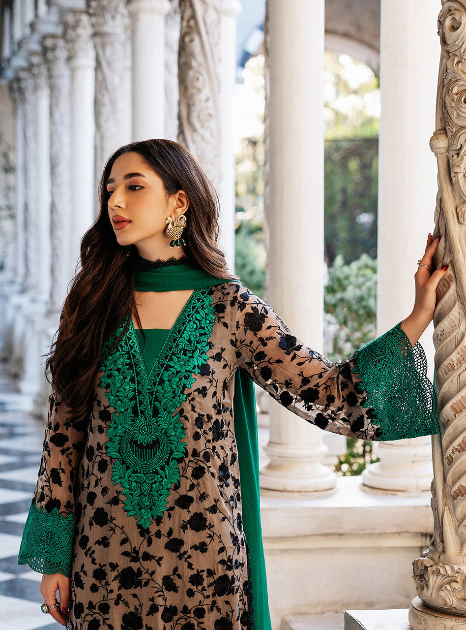 Zainab Chottani | Ramadan Edit 25 | Imperial Coffee L Coffee Pure Chiffon