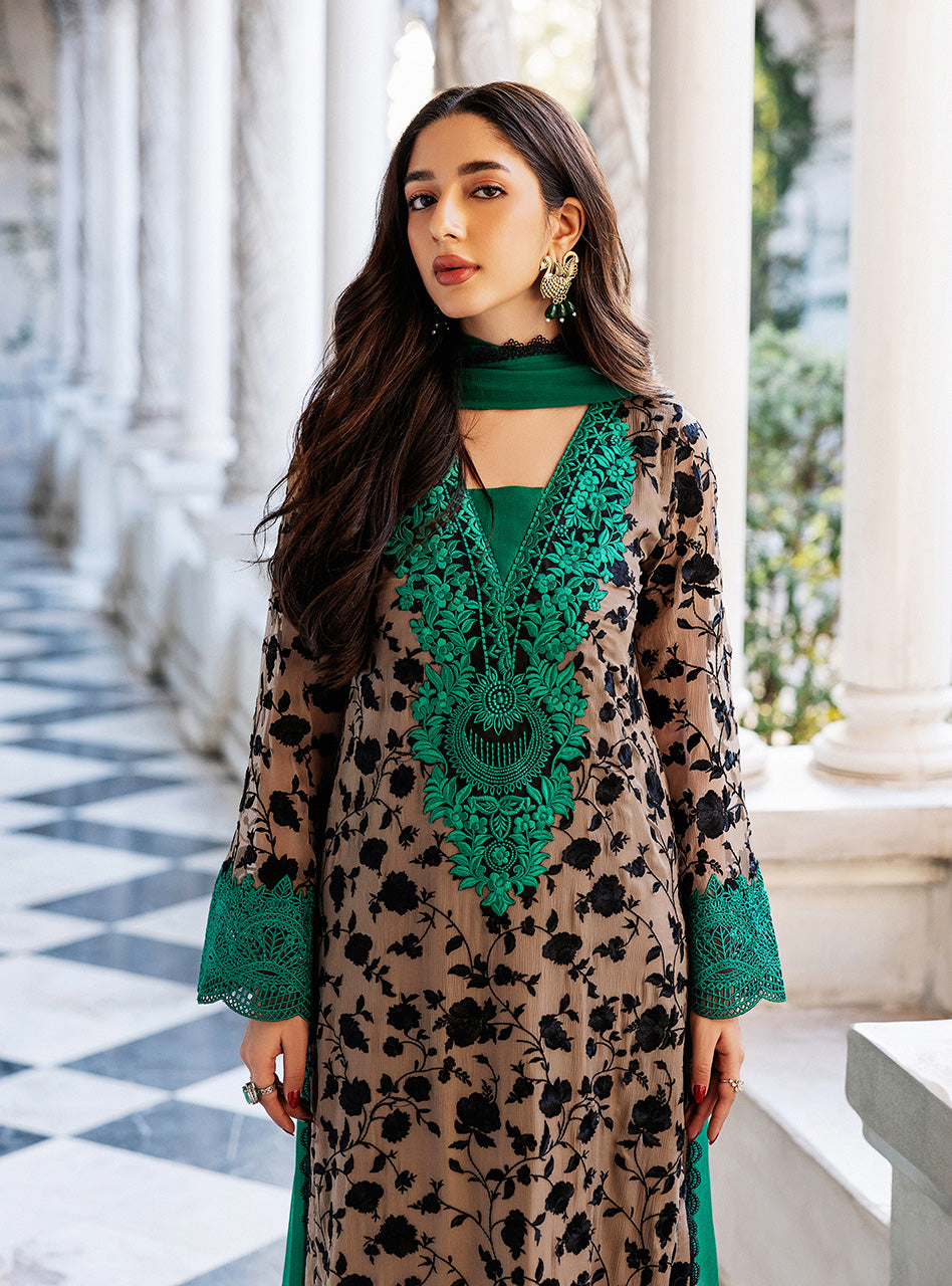 Zainab Chottani | Ramadan Edit 25 | Imperial Coffee M Coffee Pure Chiffon