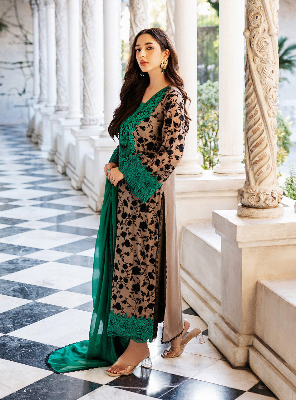 Zainab Chottani | Ramadan Edit 25 | Imperial Coffee S Coffee Pure Chiffon
