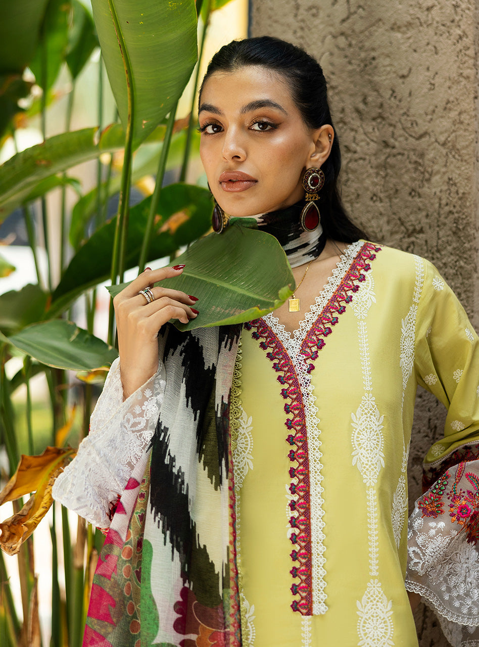 Zainab Chottani | Chikankari 25 | Rayne - 12A M Lime Chikankari