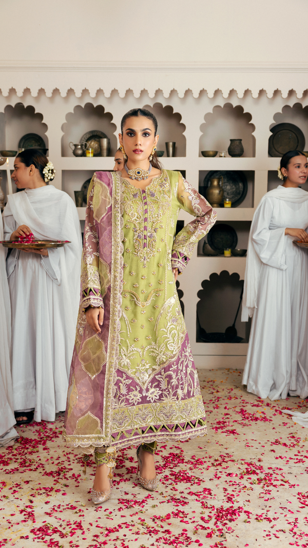 Zebtan | Zircon Wedding Formals | KHANZADI ZQ-02 L Olive Organza