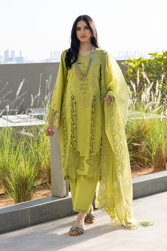 Rangrasiya | Carnation Summer Edit 25 | Aaleen XS Lime Lawn