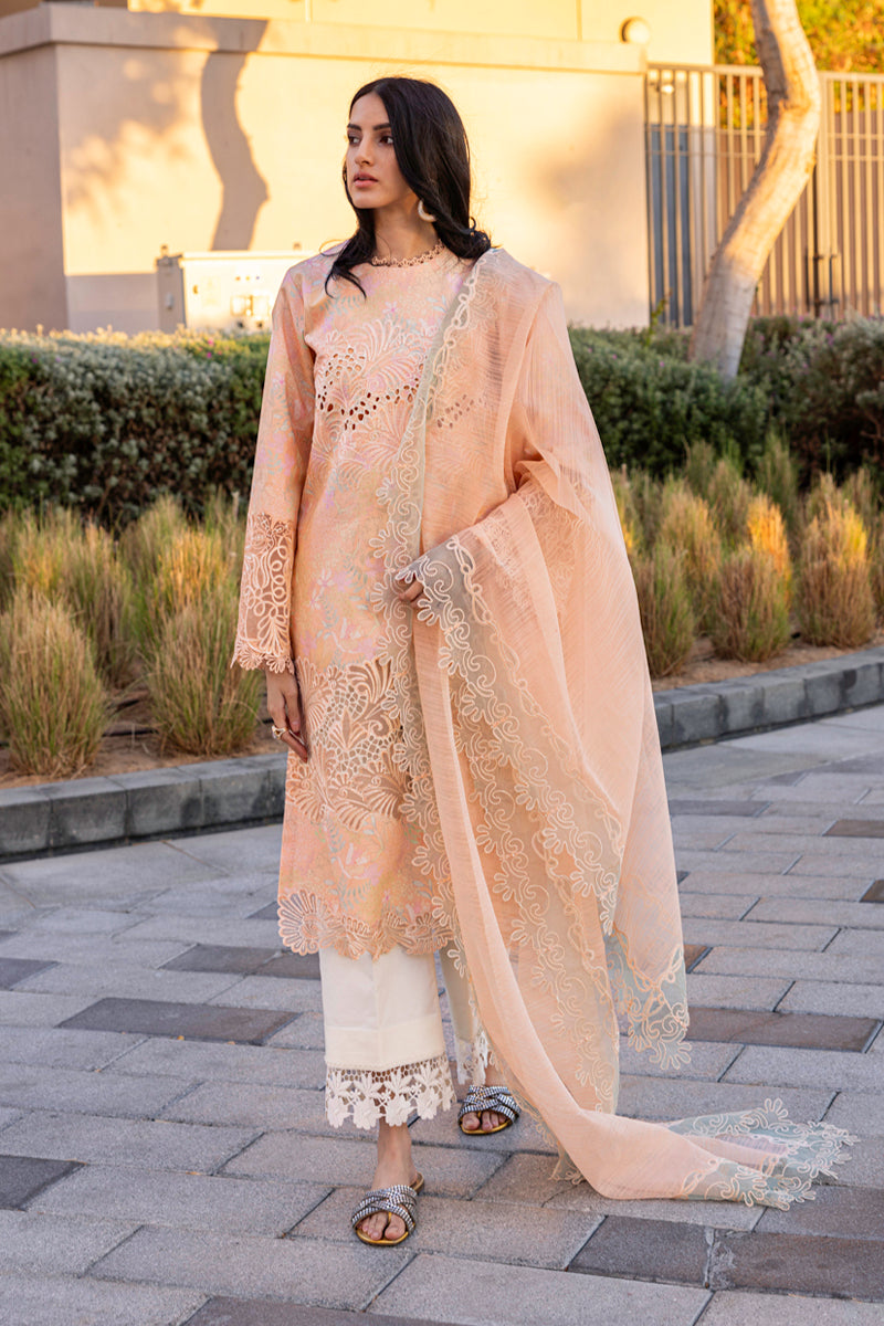 Rangrasiya | Carnation Summer Edit 25 | Zinnia XL Peach Lawn