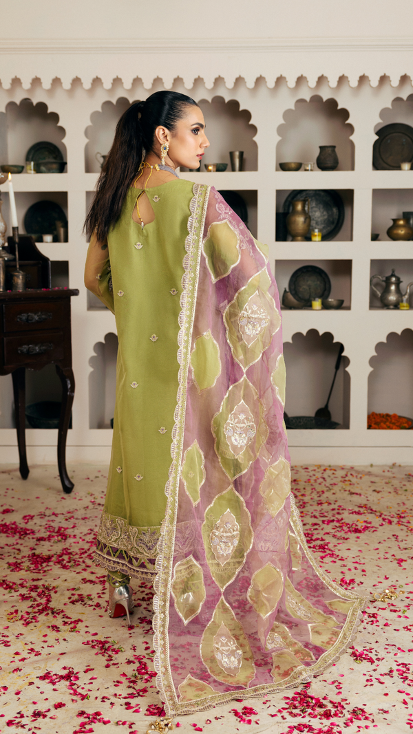 Zebtan | Zircon Wedding Formals | KHANZADI ZQ-02 S Olive Organza