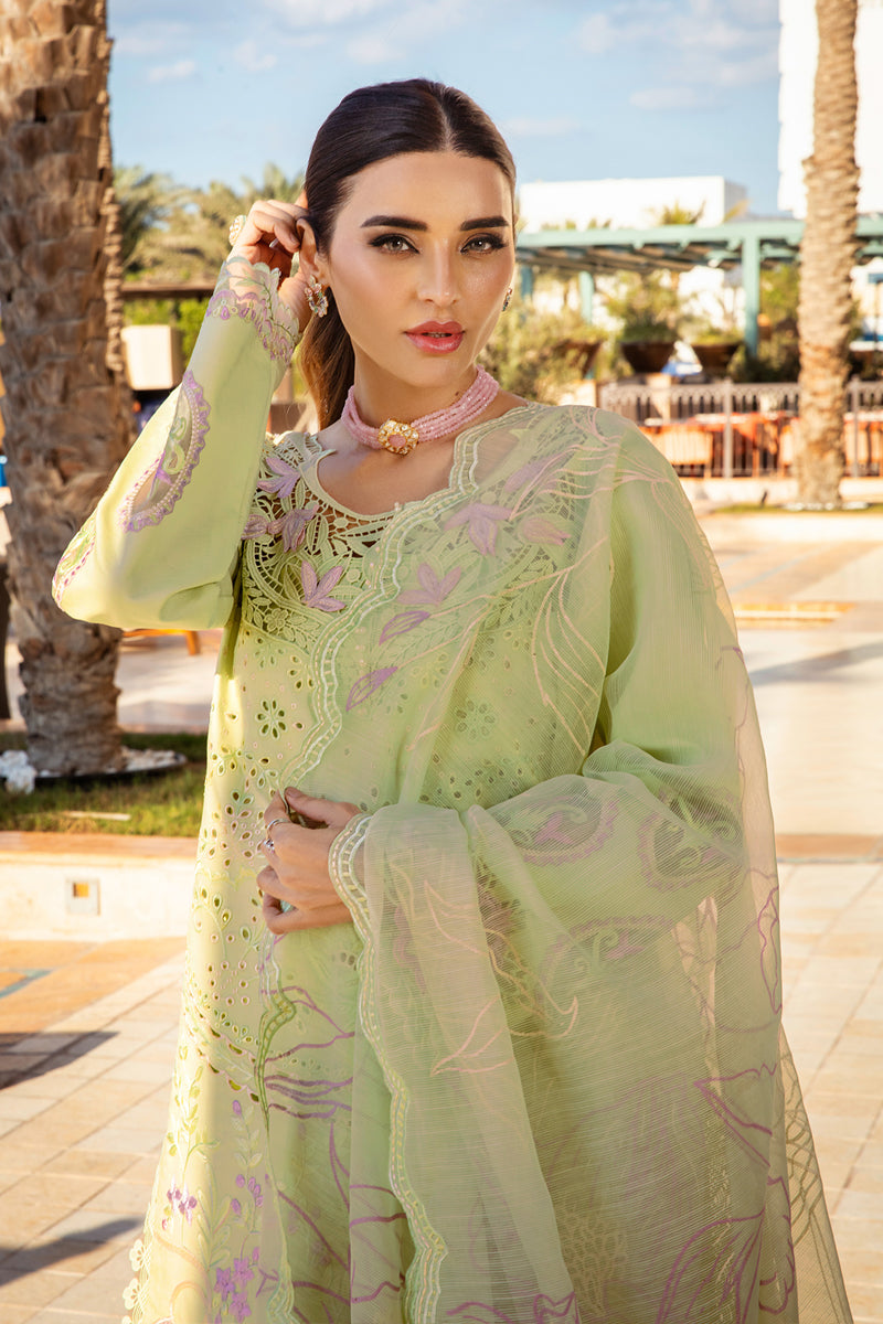 Rangrasiya | Premium Summer Lawn 25 | Ayleen L
