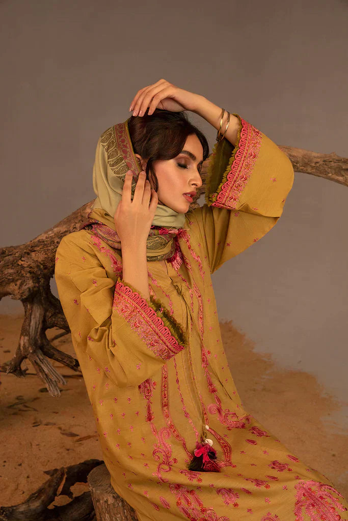 Sobia Nazir | Autumn Winter 23 | 5B - Pakistani Designer Dress - by Sobia Nazir | Type: Luxury - 100% Original at Saira Sultan