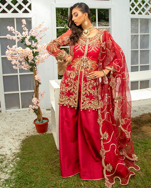 Nyra | Wedding Formals 24 | Scarlet - Pakistani Designer Dress - by Nyra | Type: Bridal - 100% Original at Saira Sultan