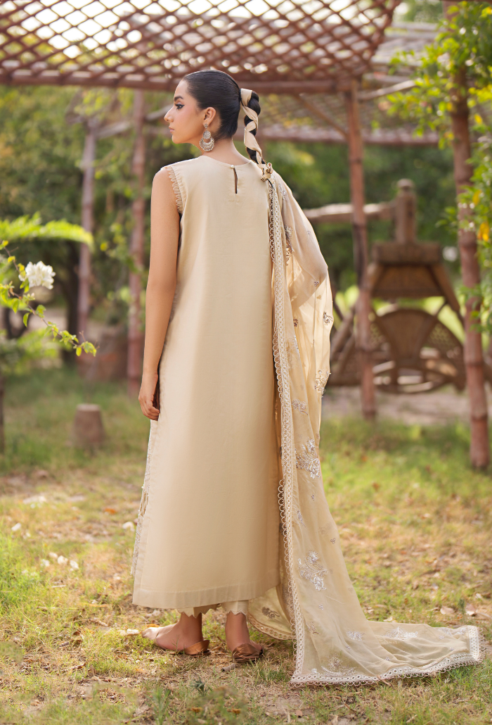Humdum | Selin Lawn 25 |Selin - D08 S Beige Lawn