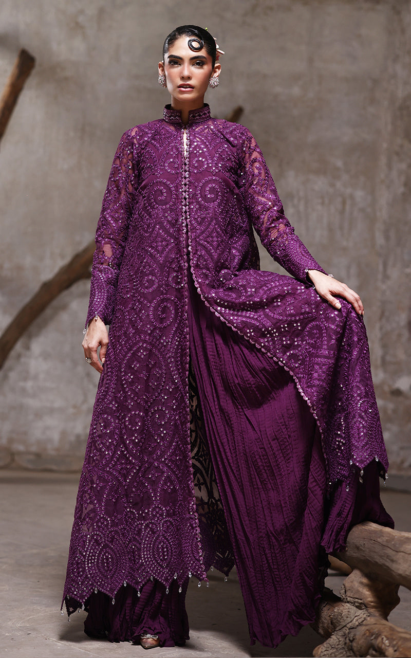 Threads and Motifs | Formal Dresses 25 | Organza Embroidered Jacket With Crushed Trouser