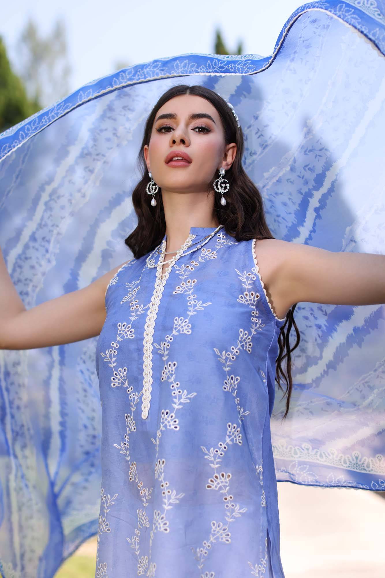 Noor by Saadia Asad | Eid Luxe Printkari 24 | D8 - Pakistani Designer Dress - by Noor by Saadia Asad | Type: Luxury - 100% Original at Saira Sultan