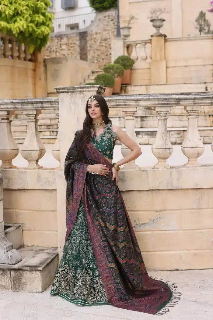 Noor by Saadia Asad | Kaani Wedding Formals 23 | D1 - Pakistani Designer Dress - by Noor by Saadia Asad | Type: Formal - 100% Original at Saira Sultan