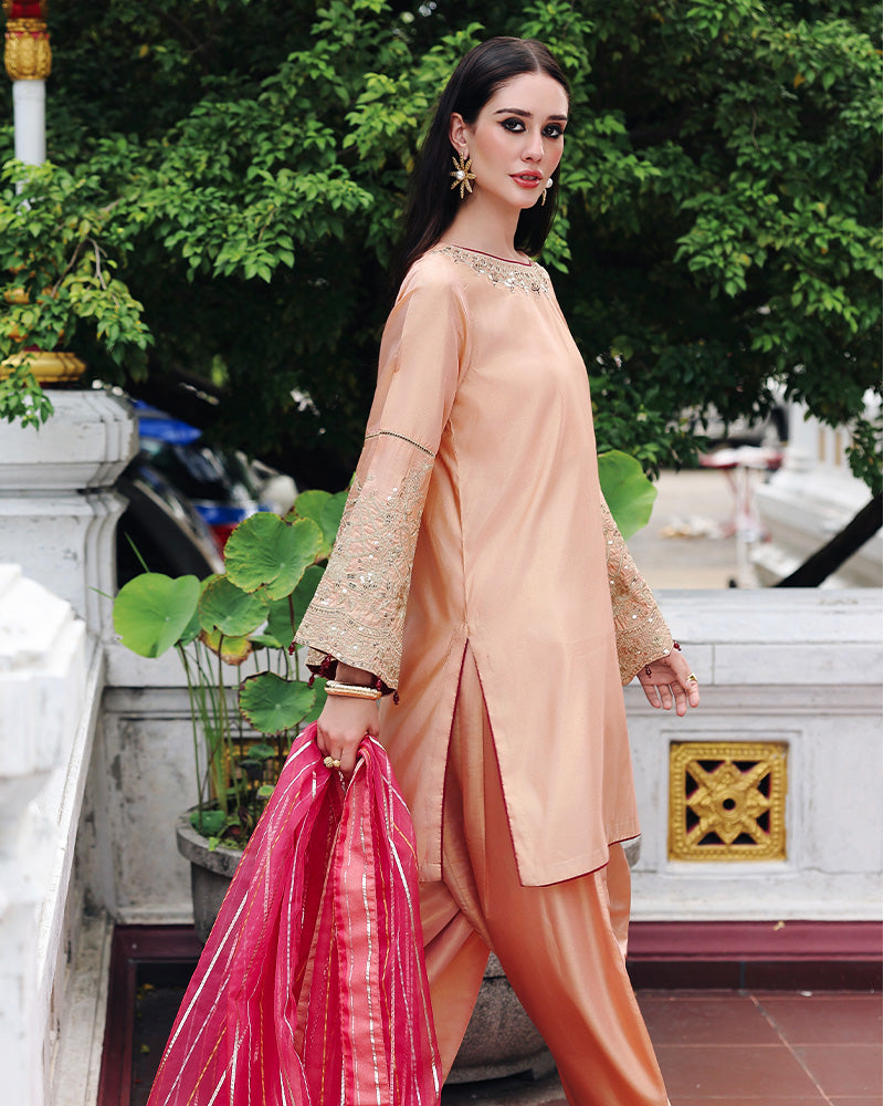 Ain | Prestige Festive Edit | AN-140 D - Pakistani Designer Dress - by Ain - Type : Ladies Clothes - 100% Original at Saira Sultan