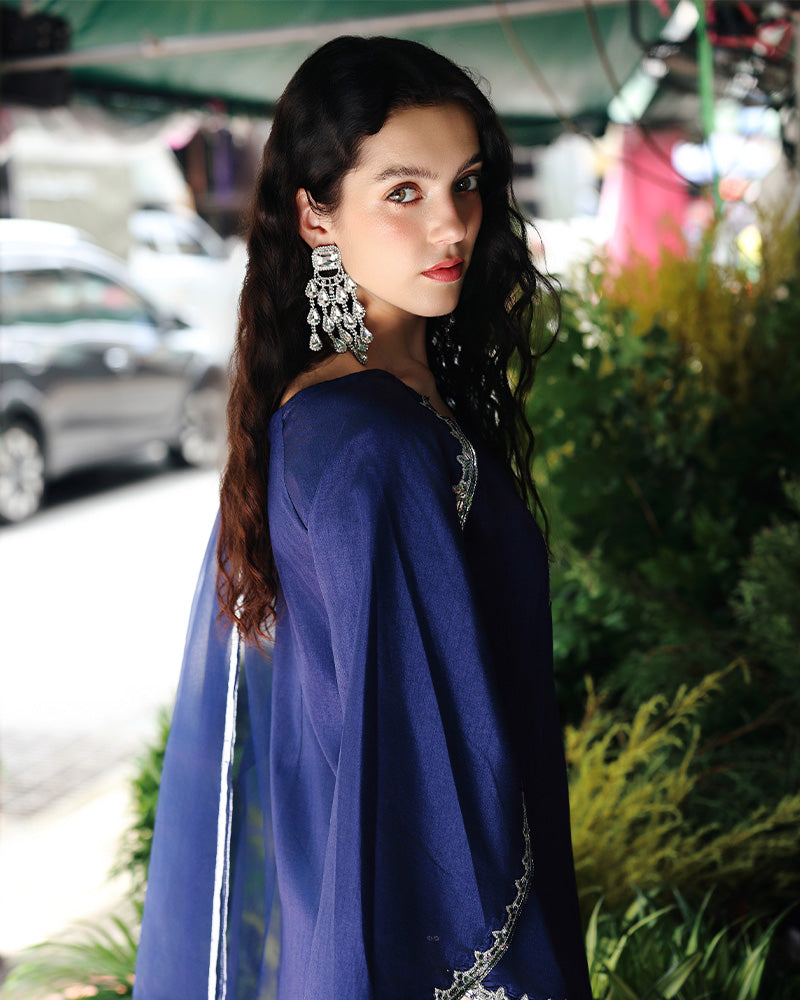 Ain | Prestige Festive Edit | AN-141 E - Pakistani Designer Dress - by Ain - Type : Ladies Clothes - 100% Original at Saira Sultan